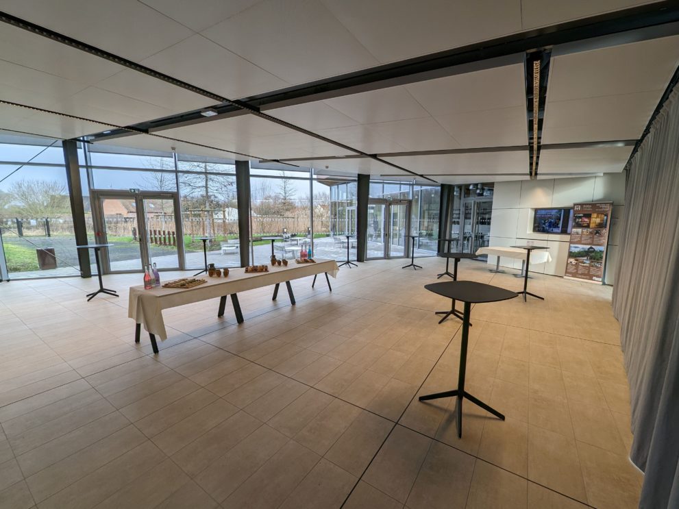 cube format cocktail