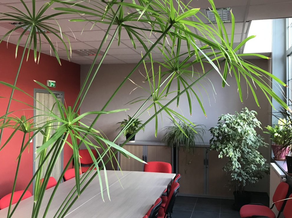 salle réunion Pavillon Douai