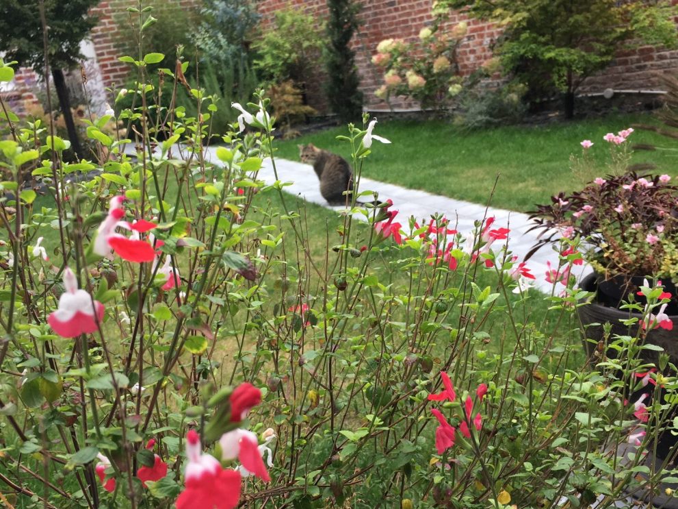 jardin chambres du palais