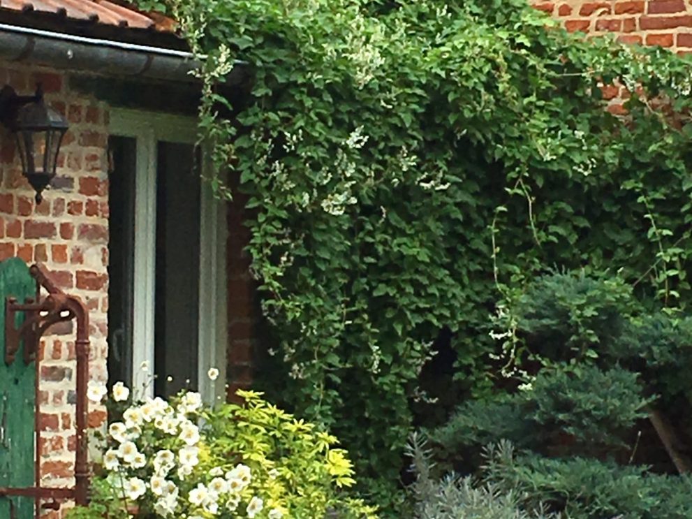 Le jardin chambres du palais