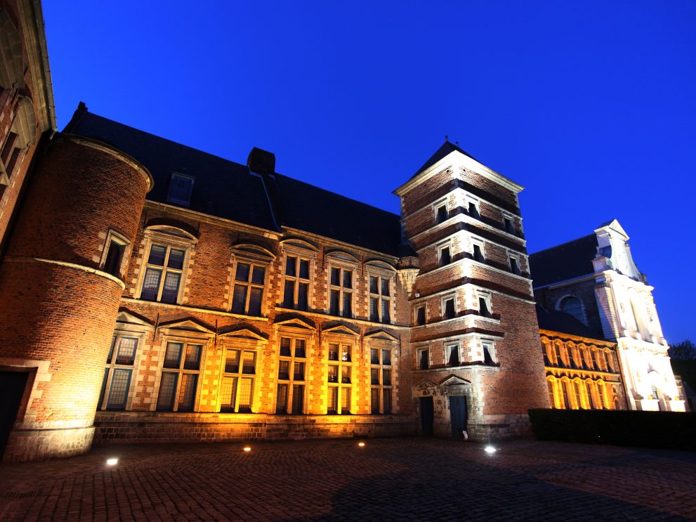 Musée de la Chartreuse illuminée