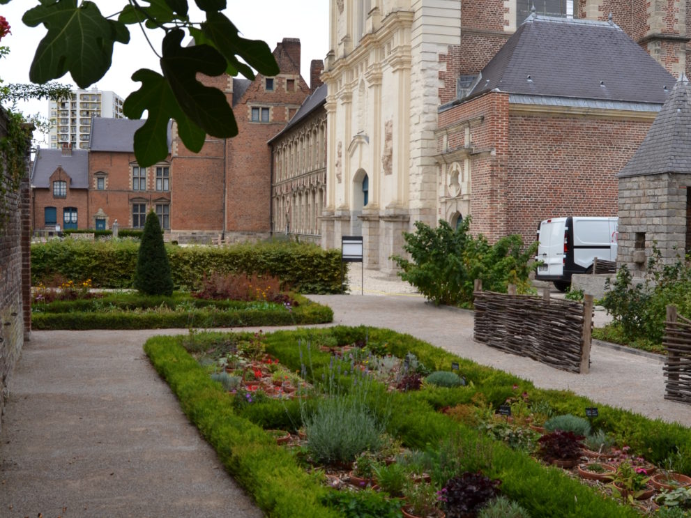 Jardin Musée de la Chartreuse de Douai 2