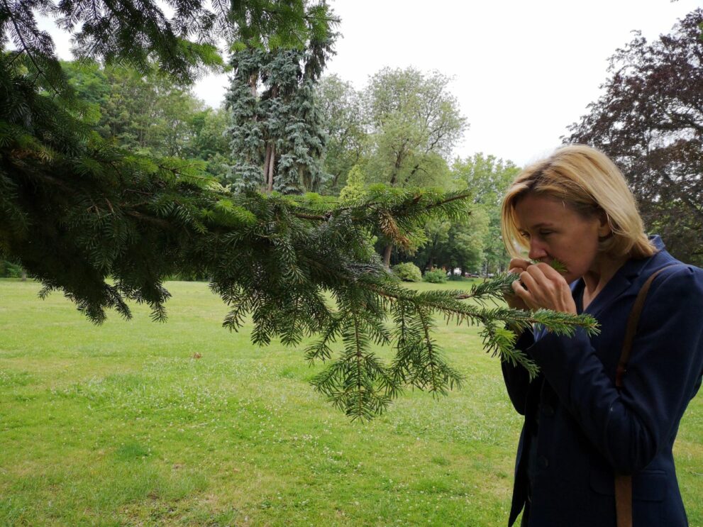 Parc-Bertin-Douai-nature-sophrologie-Douaisis-Nord-France 4